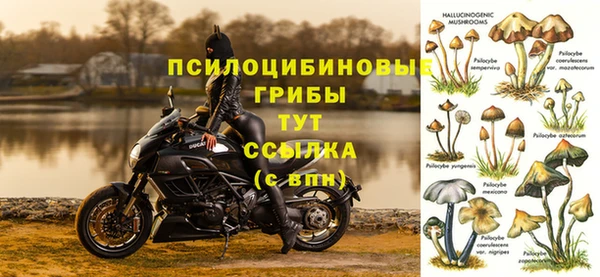 прущая мука Бронницы